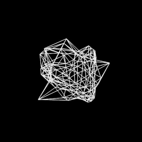 A wireframe of a complex but abstract 3d shape, taken from a demo.
